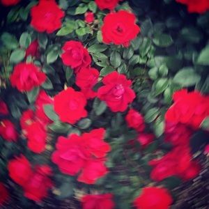 Meet your Posher, Joshua